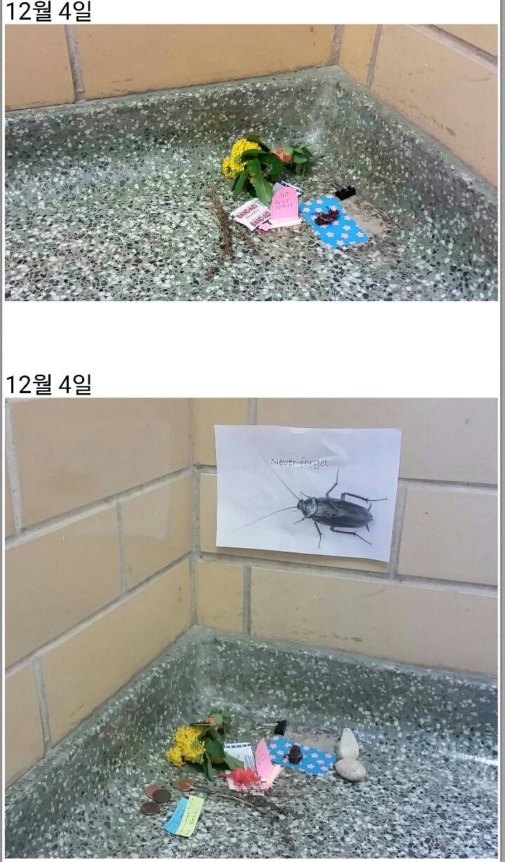 어느 대학교의 장례식... | 인스티즈