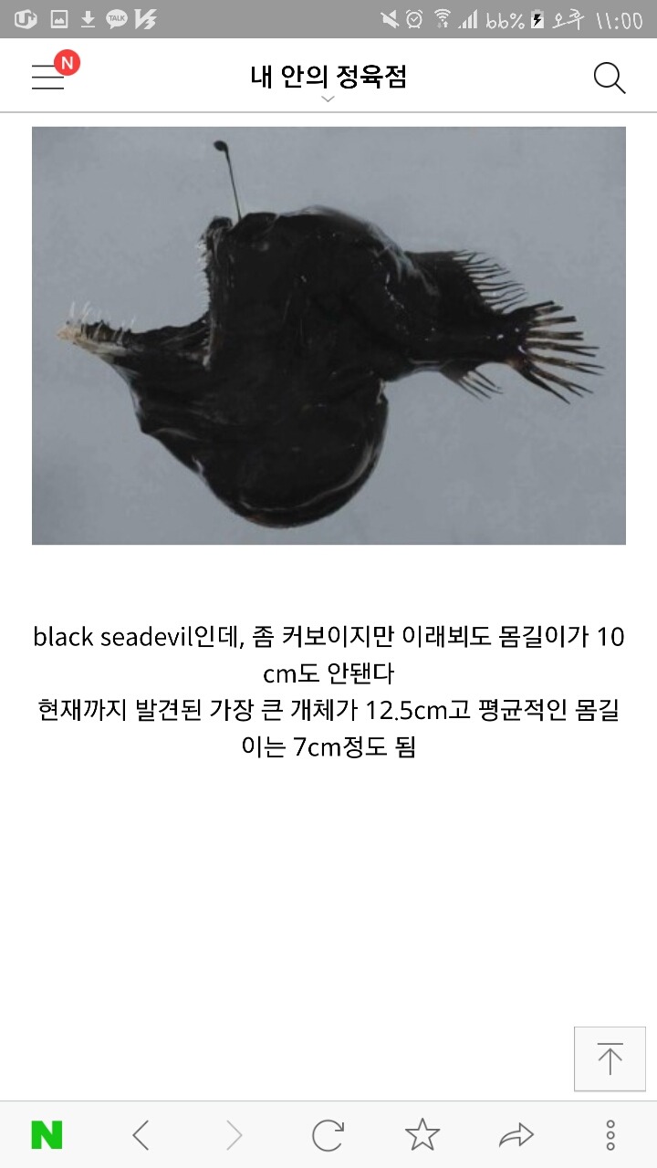 심해생물에 대해 당신들이 잘 모르는 사실들 | 인스티즈