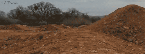 강아지 뛰어노는 모습 초고속 촬영.gif | 인스티즈