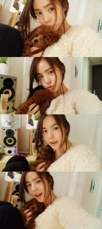 민효린햏이 키우는 반려동물이 왜 자주 바뀌는지 피드백해줬음하오 | 인스티즈