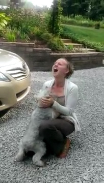 2년만에 주인만나고 기절한 강아지 | 인스티즈