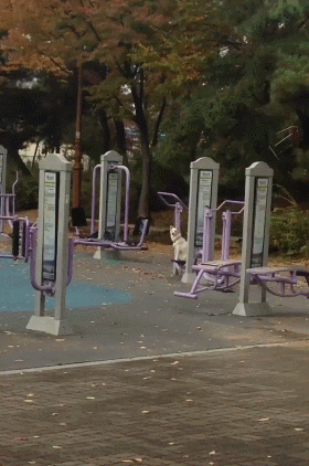 댕댕이 그네 | 인스티즈