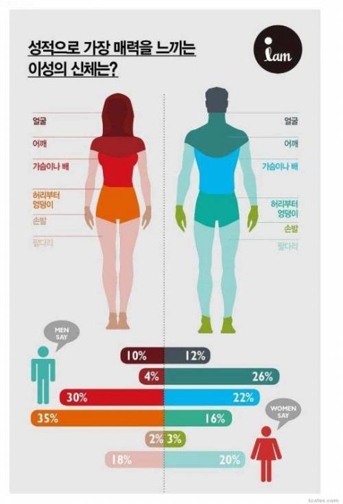 성적으로 가장 매력을 느끼는 이성의 신체 | 인스티즈