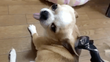 아 좋다.gif | 인스티즈