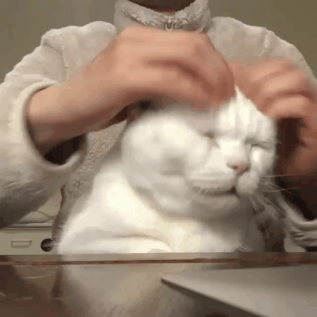 응 거기 거기 | 인스티즈