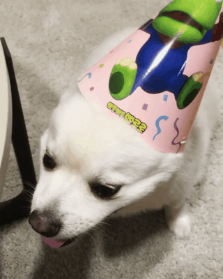 두유 생일파티.gif | 인스티즈