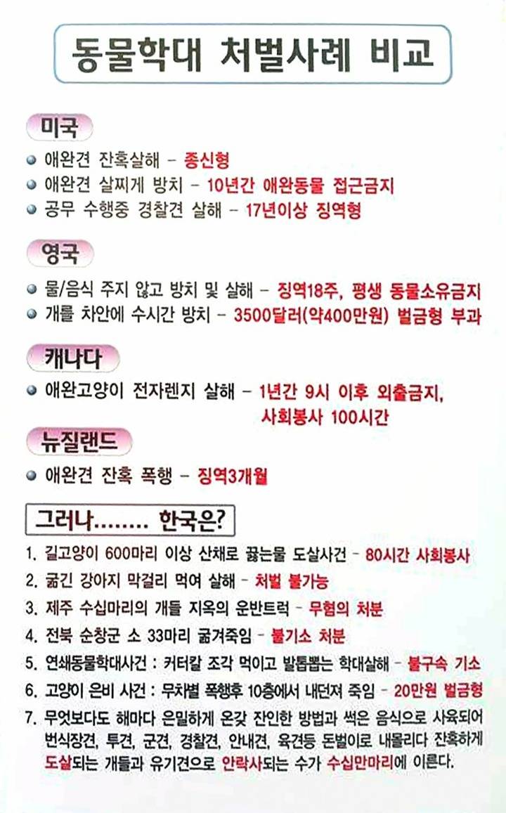 동물학대처벌 강화 청원!! 한번씩만 해주라! | 인스티즈