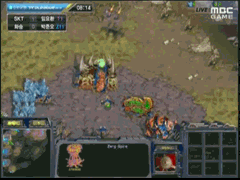 30대 프로게이머의 꿈을 이뤘던 임요환 | 인스티즈