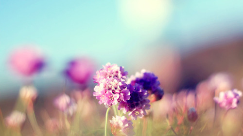 오랜 울음이 있어야 그 슬픔은 겨우겨우 다른 계절과 함께 지나간다 | 인스티즈