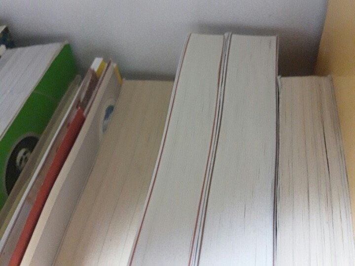 바퀴벌레나 벌레따위가 은신처용이나 주거용 으로 쓰는데 막상 우리들은 모르는곳 | 인스티즈