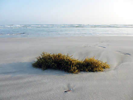 둥그런 저 달을 온통 네 품에 안겨주고 싶어하는 나의 마음은 | 인스티즈