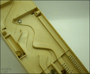 고양이파이 ....으.....ㅠㅠ | 인스티즈