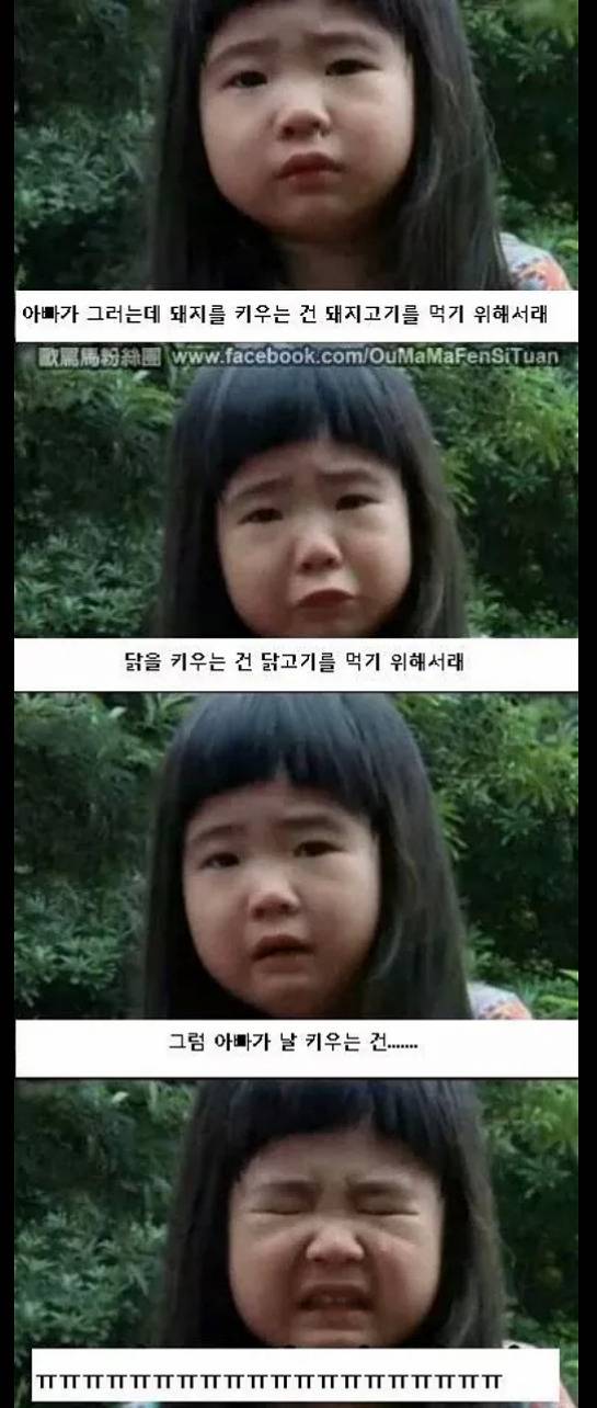 아빠가 날 키우는 이유 | 인스티즈