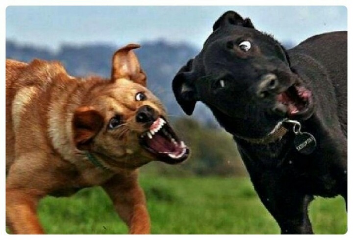 송!!!아!!!지!!! 뭐라고???????? | 인스티즈