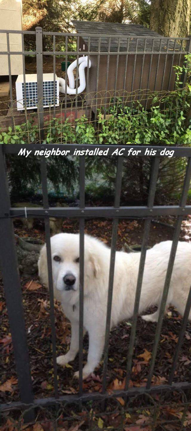 개주인의 역대급 배려 | 인스티즈