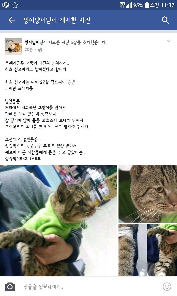손발 묶인 고양이를 버린 범인을 찾았습니다 | 인스티즈