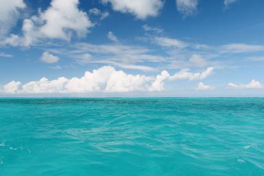  네이밍유래가 궁금해지는 시사용어들 | 인스티즈