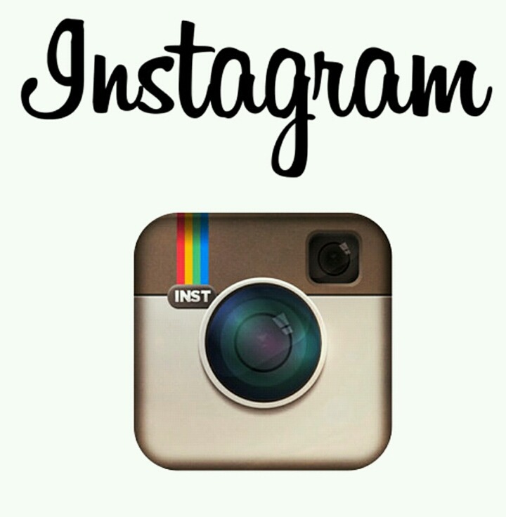 가장 선호하는 SNS는? | 인스티즈