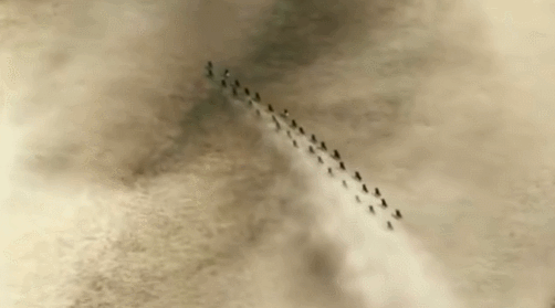 몽골의 기마부대 ㄷㄷ.gif | 인스티즈