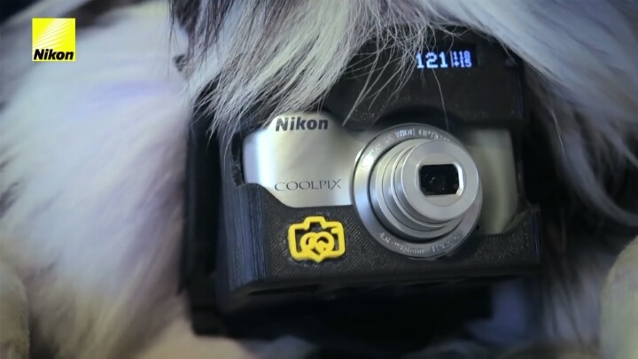 강아지의 심장이 뛰면 사진이 찍히는 사진기.jpg | 인스티즈