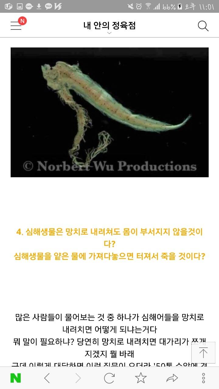 심해생물에 대해 당신들이 잘 모르는 사실들 | 인스티즈