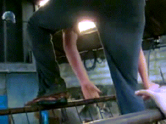 싸우다가 엉키기까지 해서 사람이 도와줌;ㄷㄷㄷ.gif | 인스티즈