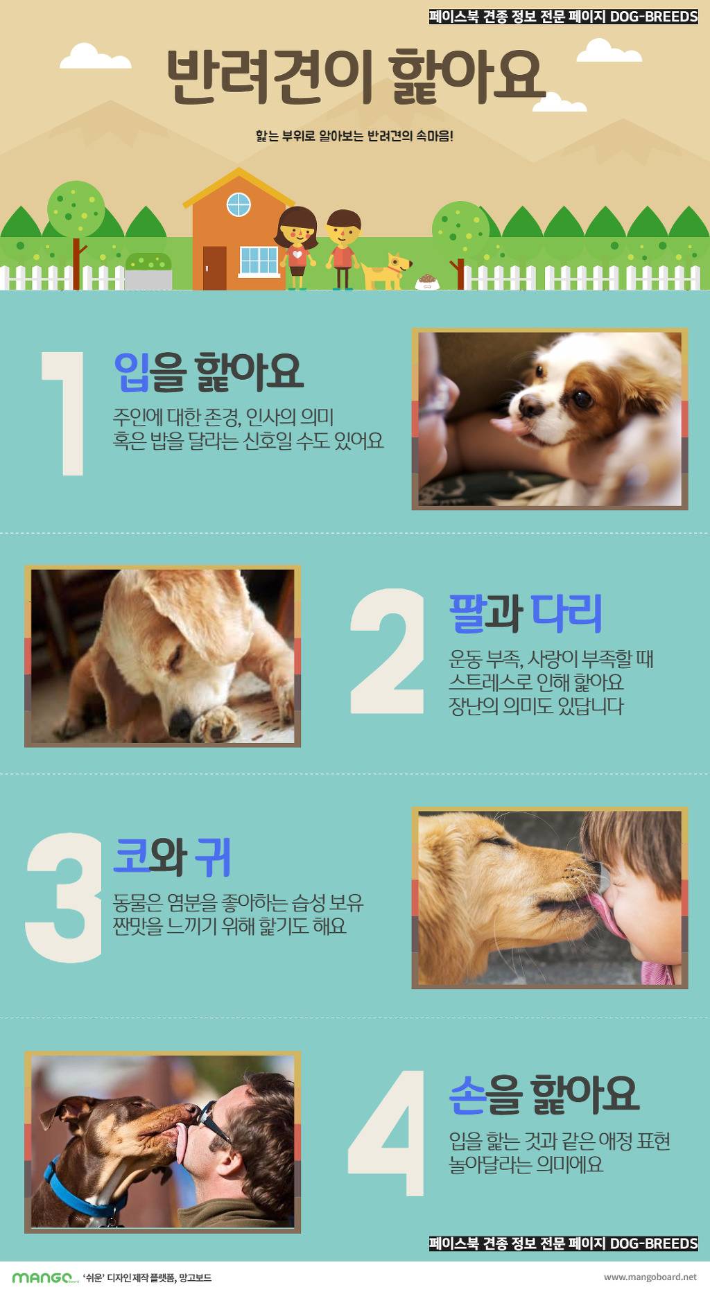 [견종정보] 는 아니지만 반려견이 당신의 부위를 핥는 이유 | 인스티즈