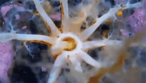 해삼의 식사시간 | 인스티즈