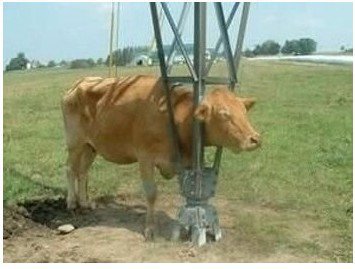 이거 왜이리 우끼냐ㅋㅋㅋㅋㅋㅋㅋㅋㅋㅋㅋㅋㅋ | 인스티즈