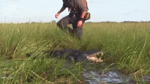 베어그릴스의 대항마 | 인스티즈
