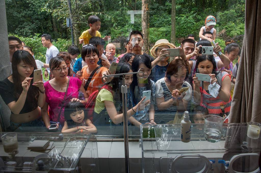 중국 자이언트 판다 보존 연구센터 사진 | 인스티즈