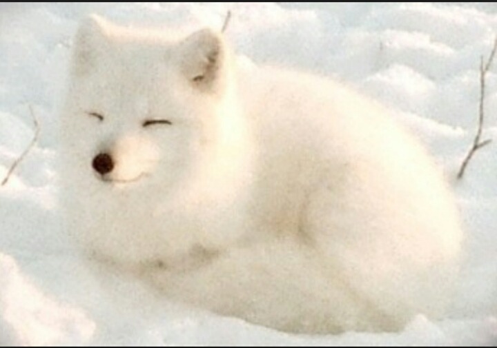 대한이 닮은 꼴.jpg | 인스티즈