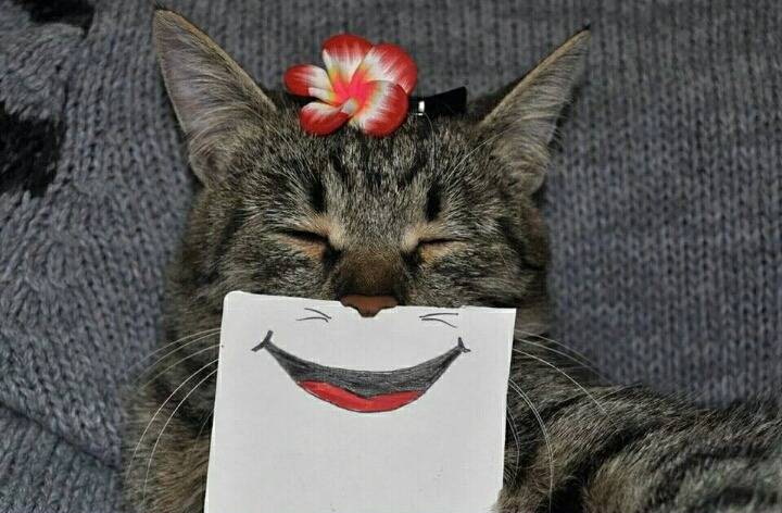 2016년 10월 21일 오하아사 | 인스티즈