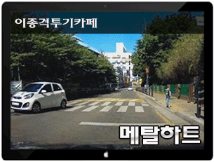 [블박] 신호위반 사망사고 | 인스티즈