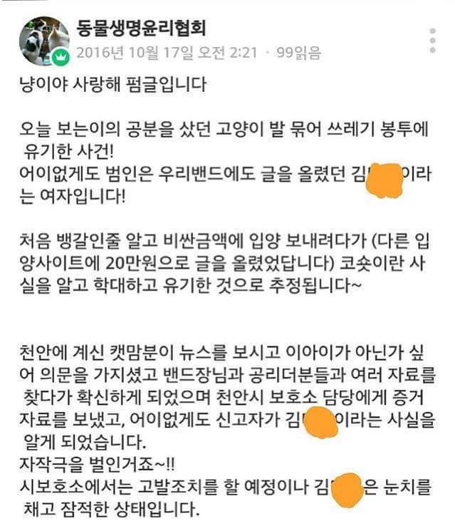 손발 묶인 고양이를 버린 범인을 찾았습니다 | 인스티즈
