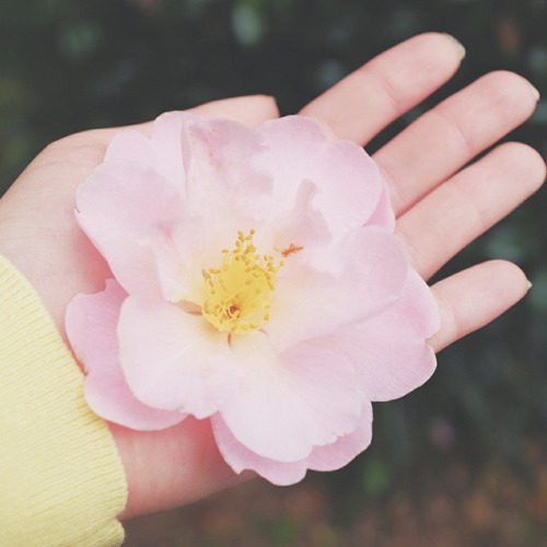 한 사람을 사랑하는 일이 죄 짓는 일이 되지 않게 하소서 | 인스티즈