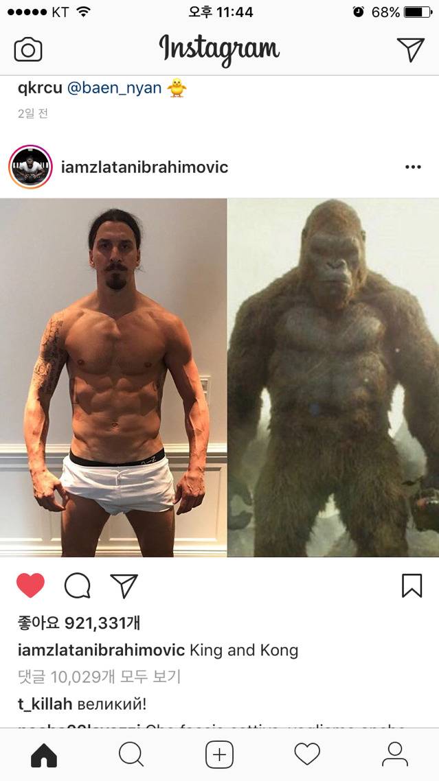 즐라탄 근황 ㅎㄷㄷ | 인스티즈