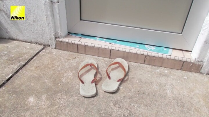 강아지의 심장이 뛰면 사진이 찍히는 사진기.jpg | 인스티즈