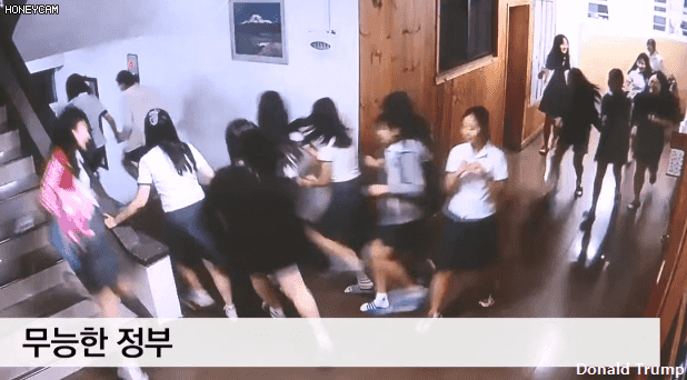 다시보는 경주 대지진 | 인스티즈