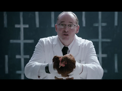 닭 잡아먹는 재규어 | 인스티즈