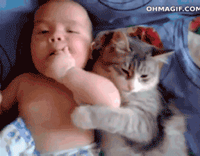 좀 자라 주인아 제발 | 인스티즈