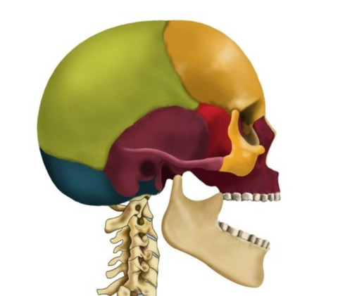 안고가야하는 내 삶의 질을 떨어뜨리는 잔병치레 모음 | 인스티즈