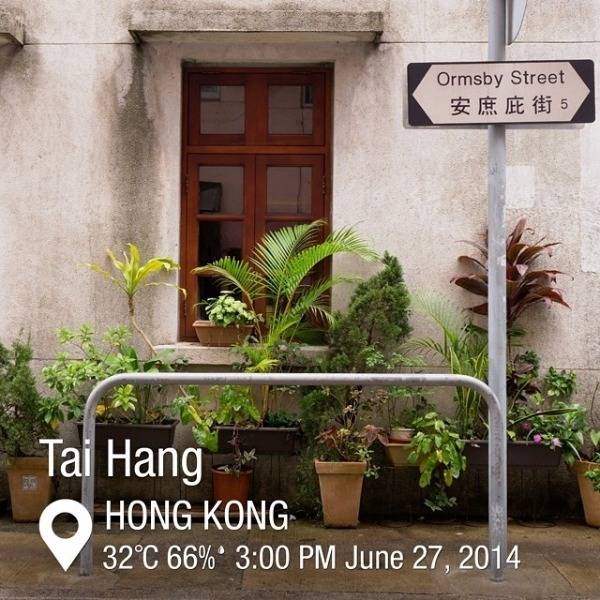 홍콩 관광청 인스타그램 사진 | 인스티즈