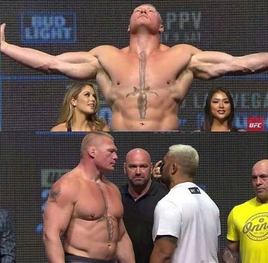 모두가 브록레스너에 열광하는 이유 | 인스티즈