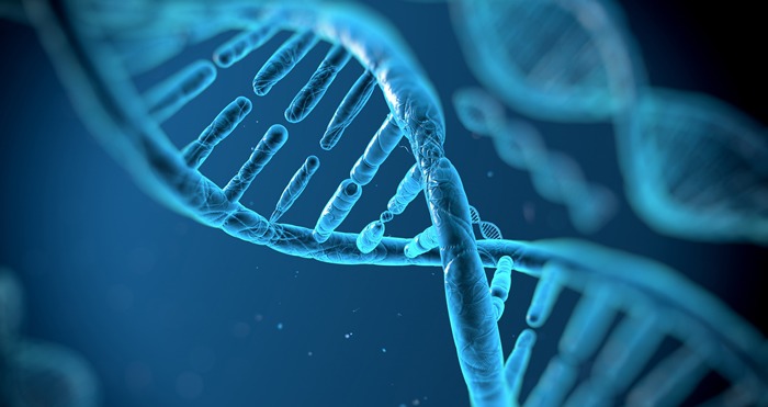 더 유명한 전자는? | 인스티즈