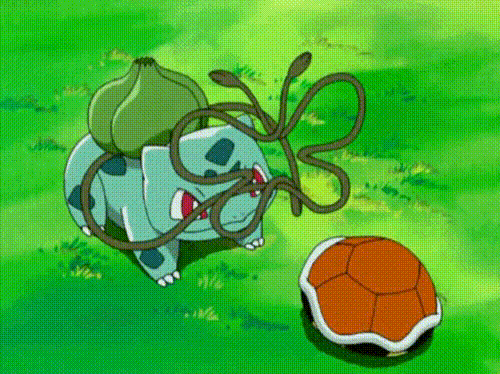 꼬부기 달래주는 이상해씨 | 인스티즈