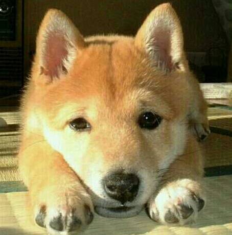 교정한사람이 보면 무릎을 딱 치는 사진 | 인스티즈