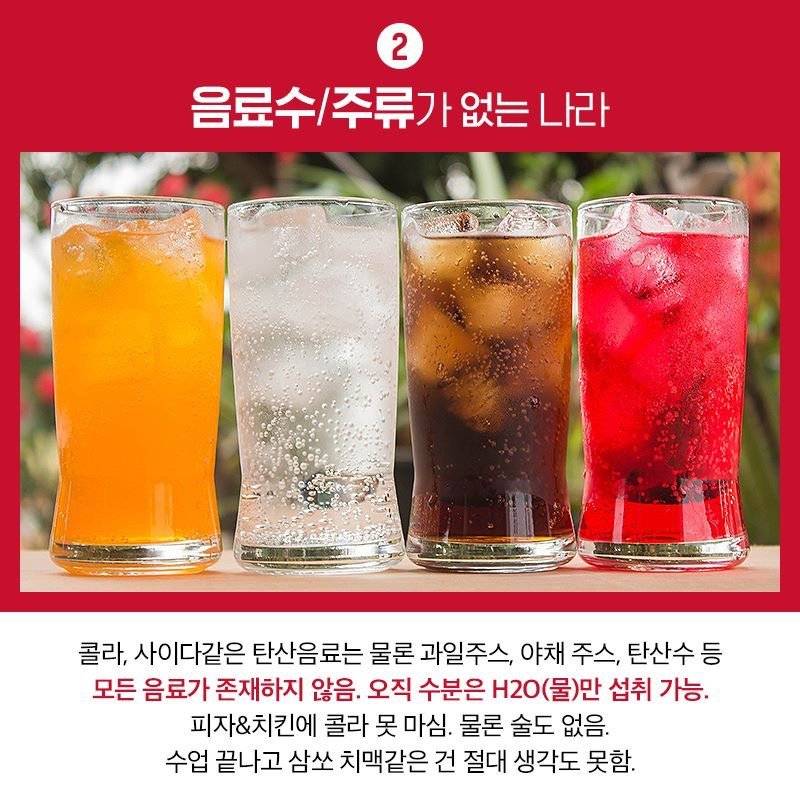 다음 중 무조건 한 나라에서 살아야 한다면? | 인스티즈