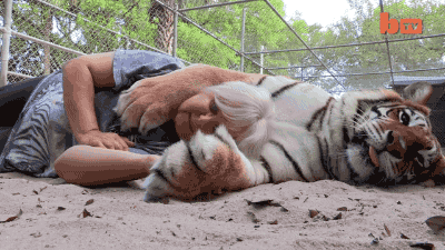 우리 냥이는 안물어요 | 인스티즈