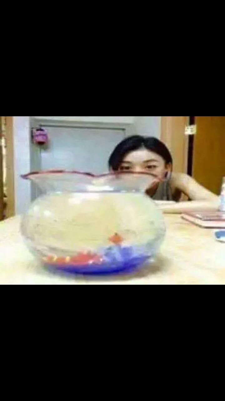 둥근 어항 속 물고기가 빨리 죽는 이유 | 인스티즈